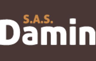 Logo Damin